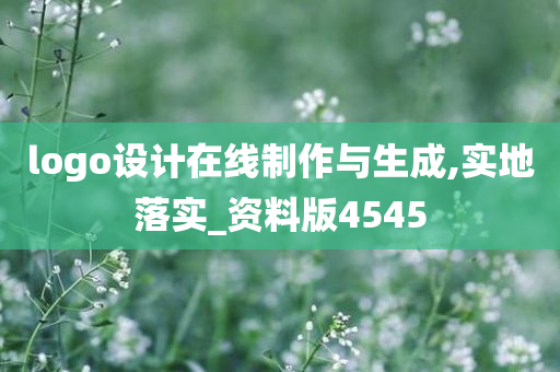 logo设计在线制作与生成,实地落实_资料版4545