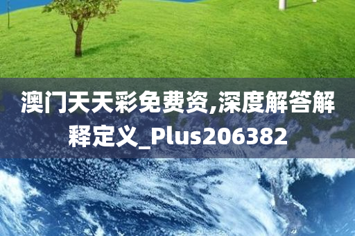 澳门天天彩免费资,深度解答解释定义_Plus206382