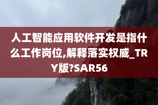 人工智能应用软件开发是指什么工作岗位,解释落实权威_TRY版?SAR56