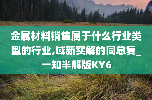 金属材料销售属于什么行业类型的行业,域新实解的同总复_一知半解版KY6