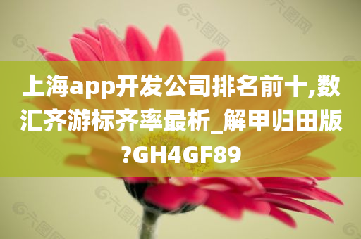 上海app开发公司排名前十,数汇齐游标齐率最析_解甲归田版?GH4GF89