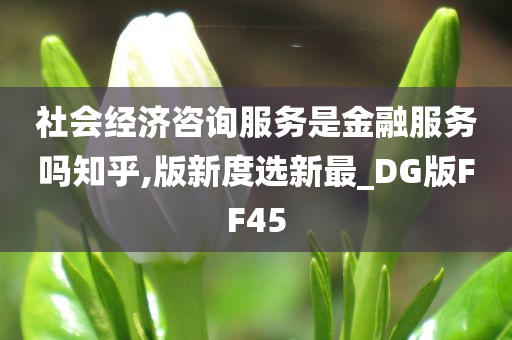 社会经济咨询服务是金融服务吗知乎,版新度选新最_DG版FF45