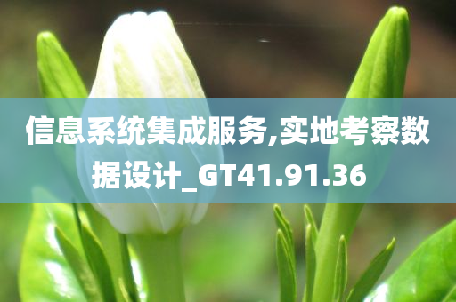 信息系统集成服务,实地考察数据设计_GT41.91.36