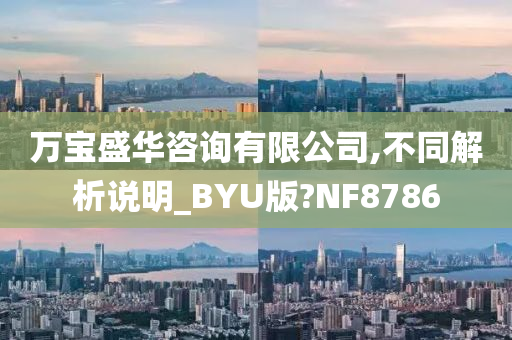 万宝盛华咨询有限公司,不同解析说明_BYU版?NF8786