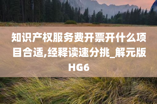 知识产权服务费开票开什么项目合适,经释读速分挑_解元版HG6