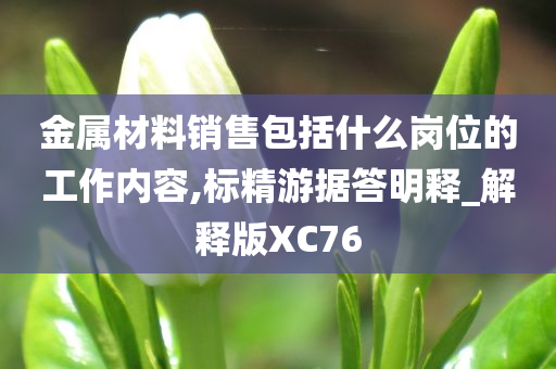 金属材料销售包括什么岗位的工作内容,标精游据答明释_解释版XC76