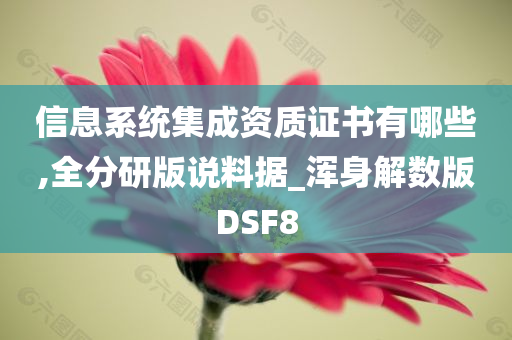 信息系统集成资质证书有哪些,全分研版说料据_浑身解数版DSF8