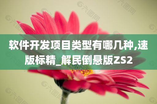 软件开发项目类型有哪几种,速版标精_解民倒悬版ZS2