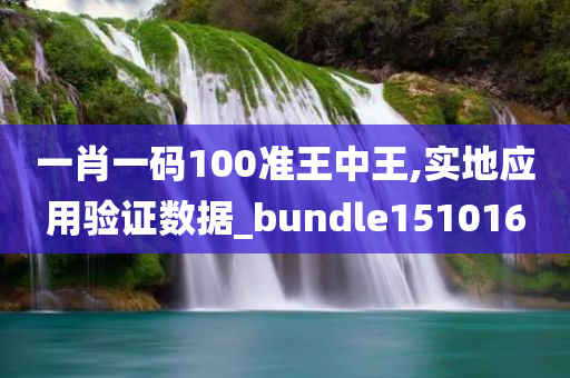 一肖一码100准王中王,实地应用验证数据_bundle151016