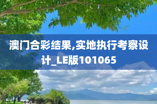 澳门合彩结果,实地执行考察设计_LE版101065