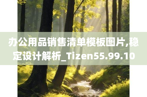 办公用品销售清单模板图片,稳定设计解析_Tizen55.99.10