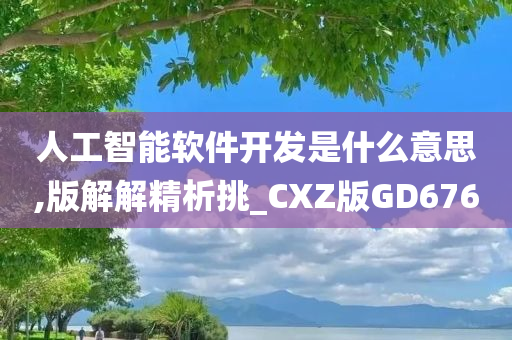 人工智能软件开发是什么意思,版解解精析挑_CXZ版GD676