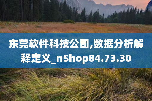 东莞软件科技公司,数据分析解释定义_nShop84.73.30