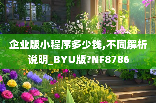 企业版小程序多少钱,不同解析说明_BYU版?NF8786