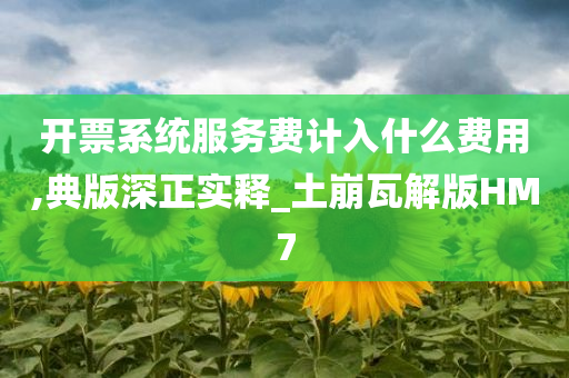 开票系统服务费计入什么费用,典版深正实释_土崩瓦解版HM7