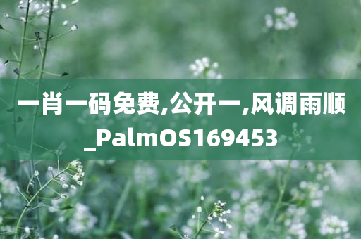 一肖一码免费,公开一,风调雨顺_PalmOS169453