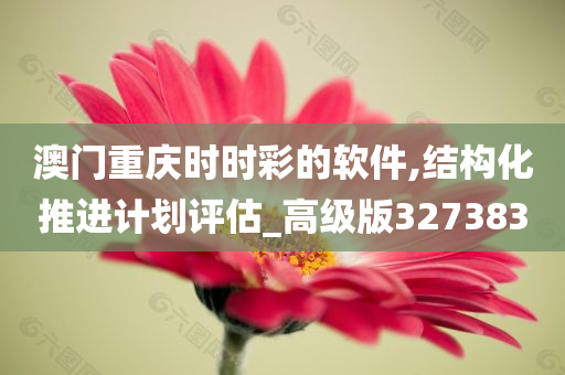 澳门重庆时时彩的软件,结构化推进计划评估_高级版327383