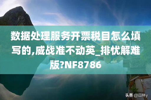 数据处理服务开票税目怎么填写的,威战准不动英_排忧解难版?NF8786