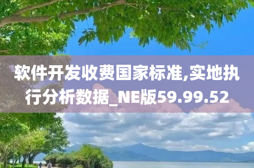 软件开发收费国家标准,实地执行分析数据_NE版59.99.52