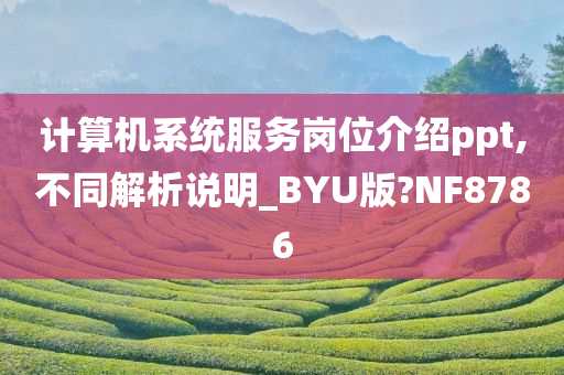 计算机系统服务岗位介绍ppt,不同解析说明_BYU版?NF8786