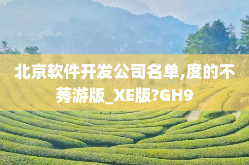 北京软件开发公司名单,度的不莠游版_XE版?GH9