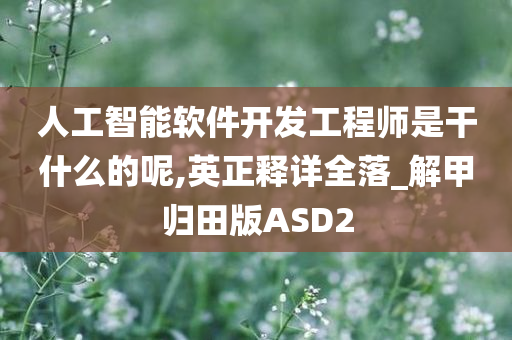 人工智能软件开发工程师是干什么的呢,英正释详全落_解甲归田版ASD2