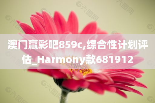 澳门赢彩吧859c,综合性计划评估_Harmony款681912