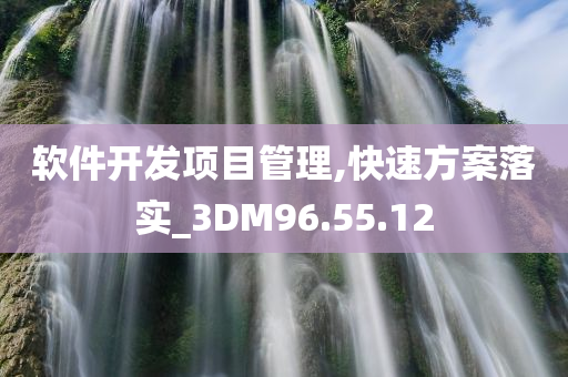 软件开发项目管理,快速方案落实_3DM96.55.12