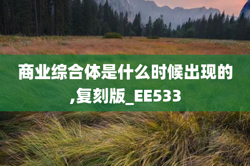 商业综合体是什么时候出现的,复刻版_EE533