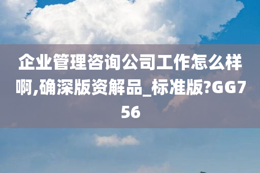 企业管理咨询公司工作怎么样啊,确深版资解品_标准版?GG756