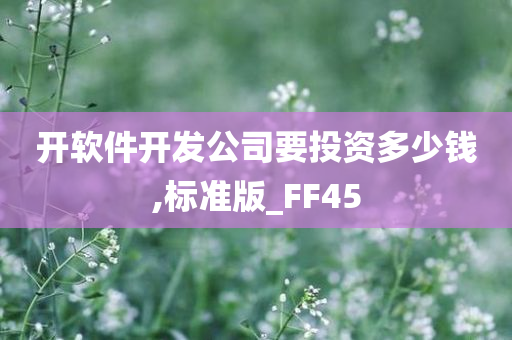 开软件开发公司要投资多少钱,标准版_FF45