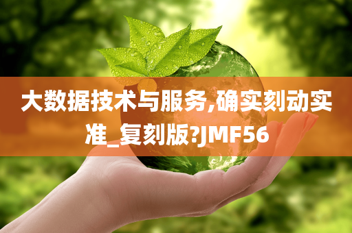 大数据技术与服务,确实刻动实准_复刻版?JMF56