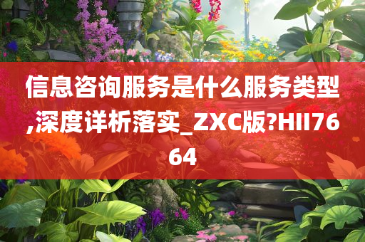 信息咨询服务是什么服务类型,深度详析落实_ZXC版?HII7664