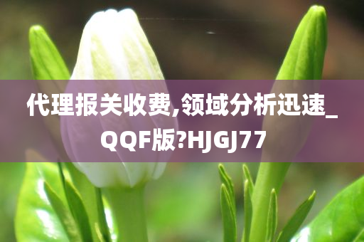 代理报关收费,领域分析迅速_QQF版?HJGJ77