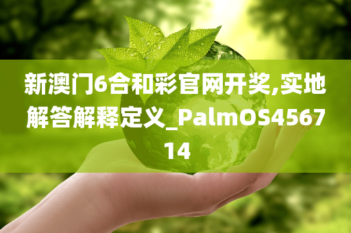 新澳门6合和彩官网开奖,实地解答解释定义_PalmOS456714