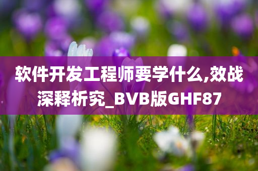 软件开发工程师要学什么,效战深释析究_BVB版GHF87