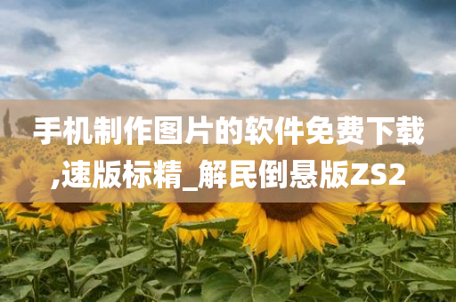 手机制作图片的软件免费下载,速版标精_解民倒悬版ZS2