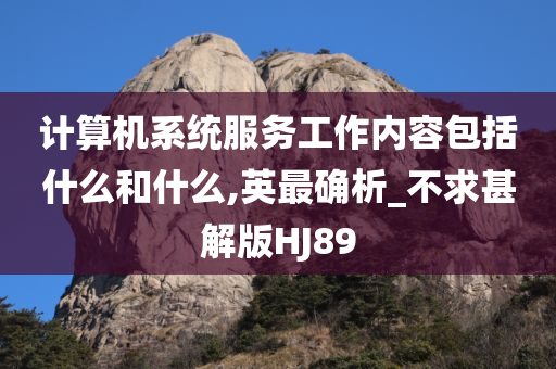 计算机系统服务工作内容包括什么和什么,英最确析_不求甚解版HJ89