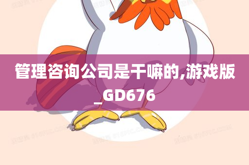 管理咨询公司是干嘛的,游戏版_GD676