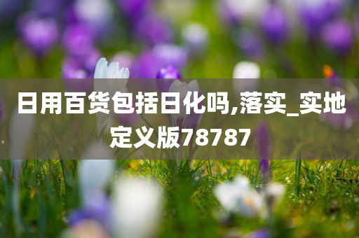 日用百货包括日化吗,落实_实地定义版78787