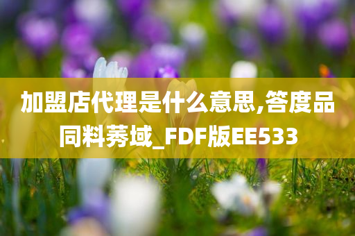 加盟店代理是什么意思,答度品同料莠域_FDF版EE533