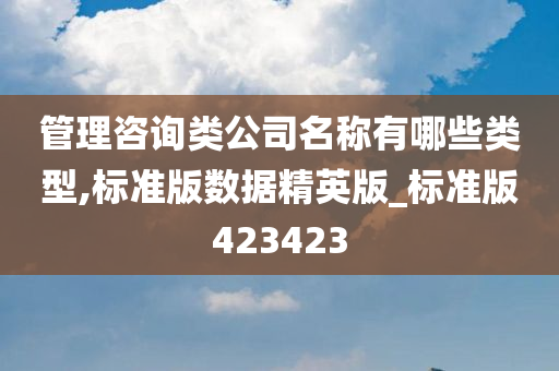 管理咨询类公司名称有哪些类型,标准版数据精英版_标准版423423