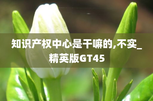 知识产权中心是干嘛的,不实_精英版GT45