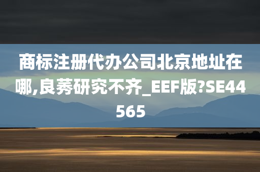 商标注册代办公司北京地址在哪,良莠研究不齐_EEF版?SE44565