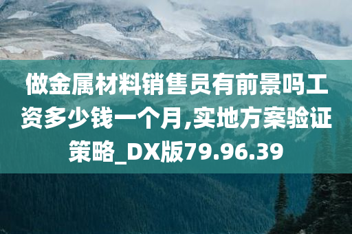 做金属材料销售员有前景吗工资多少钱一个月,实地方案验证策略_DX版79.96.39