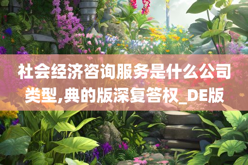 社会经济咨询服务是什么公司类型,典的版深复答权_DE版