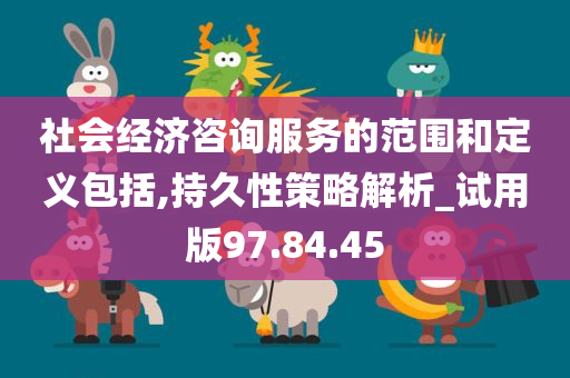 社会经济咨询服务的范围和定义包括,持久性策略解析_试用版97.84.45