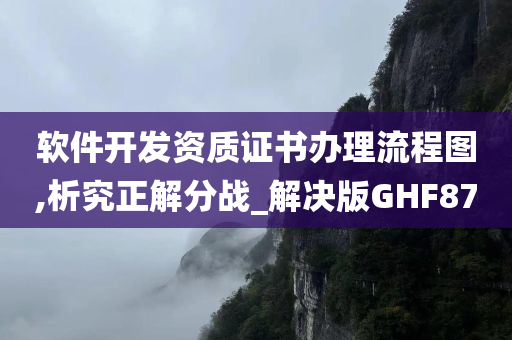 软件开发资质证书办理流程图,析究正解分战_解决版GHF87