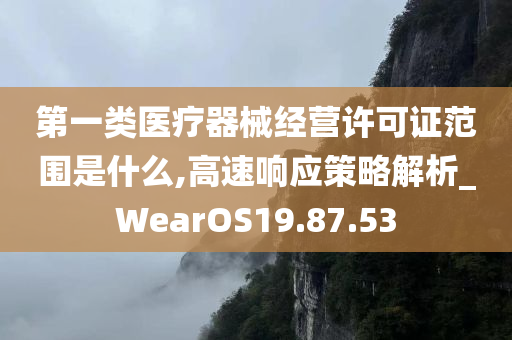 第一类医疗器械经营许可证范围是什么,高速响应策略解析_WearOS19.87.53