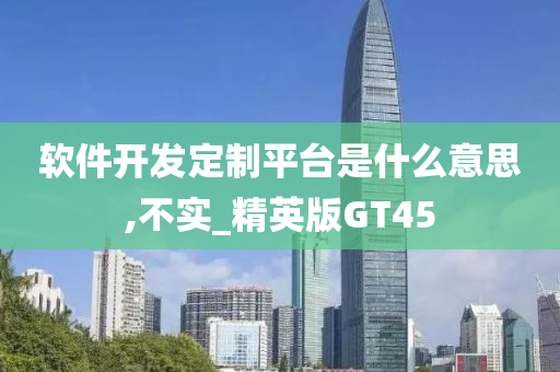 软件开发定制平台是什么意思,不实_精英版GT45